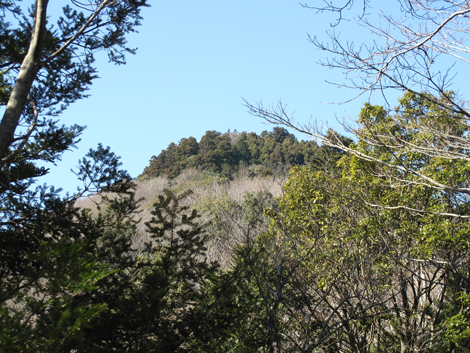 20170126hike (303)